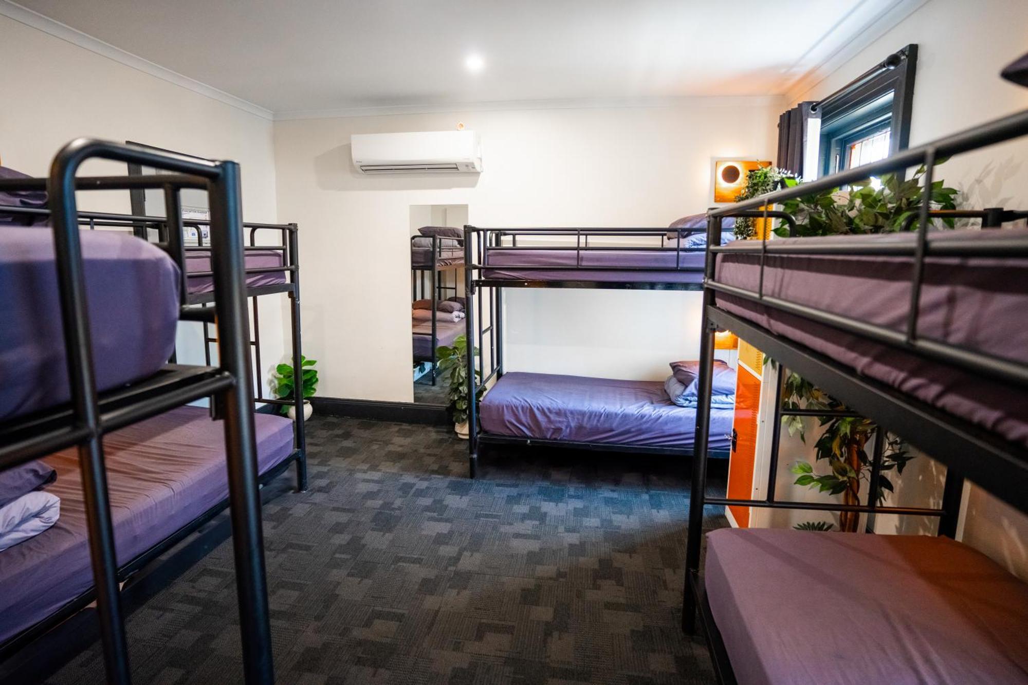 Mad Monkey Kings Cross (Adults Only) Hostel Sydney Exterior photo