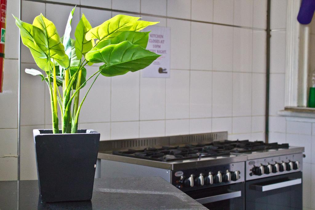 Mad Monkey Kings Cross (Adults Only) Hostel Sydney Exterior photo